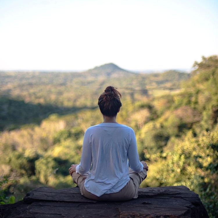 Atelier de méditation de pleine conscience 